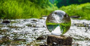 Verantwortung, Klimaneutral SchwaGe-Druck